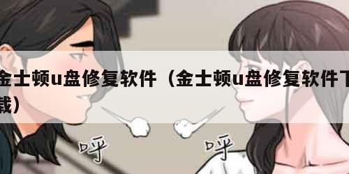 金士顿u盘修复软件（金士顿u盘修复软件下载）