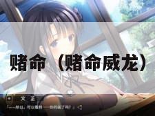 赌命（赌命威龙）