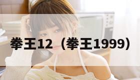 拳王12（拳王1999）