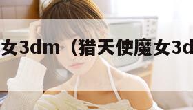 猎天使魔女3dm（猎天使魔女3dm汉化补丁）