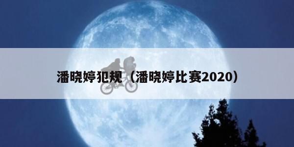 潘晓婷犯规（潘晓婷比赛2020）