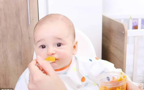 四个月添加什么辅食，六个月的宝宝辅食表