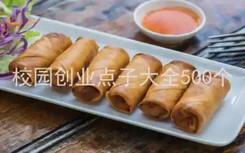 校园创业点子大全500个、适合在校大学生的创业点子