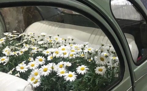 努力更重要的是提升你的思维层次(选择大于努力思维决定层次的意思)