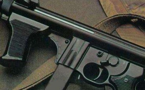 冲锋枪的弹匣组成主要有(国产新式军用冲锋枪视频)