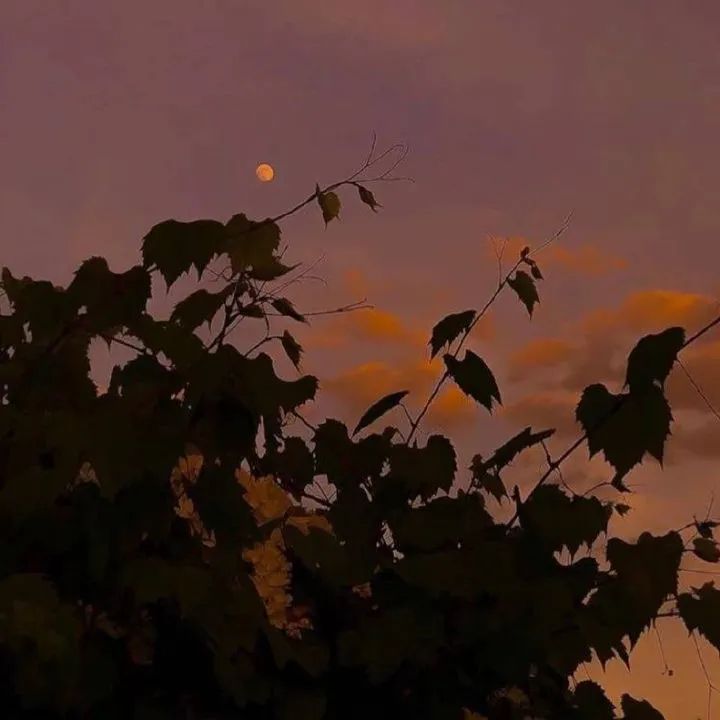 满是人间烟火味的文案