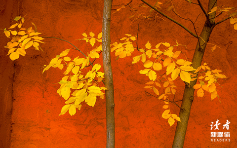 适合写进作文的神仙文案(文案句子可用到作文的)