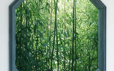 你身边有哪些令你惊艳的名字(一听就很惊艳的名字)