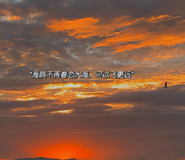 很温暖的又很舒心的短句 清新暖心的优美文案