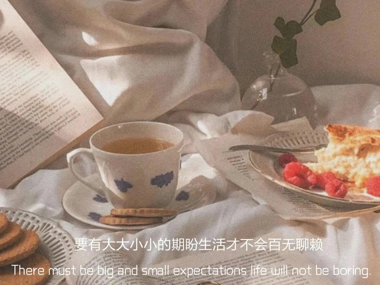 文案“置顶收藏且不烂大街的高级小众文案”