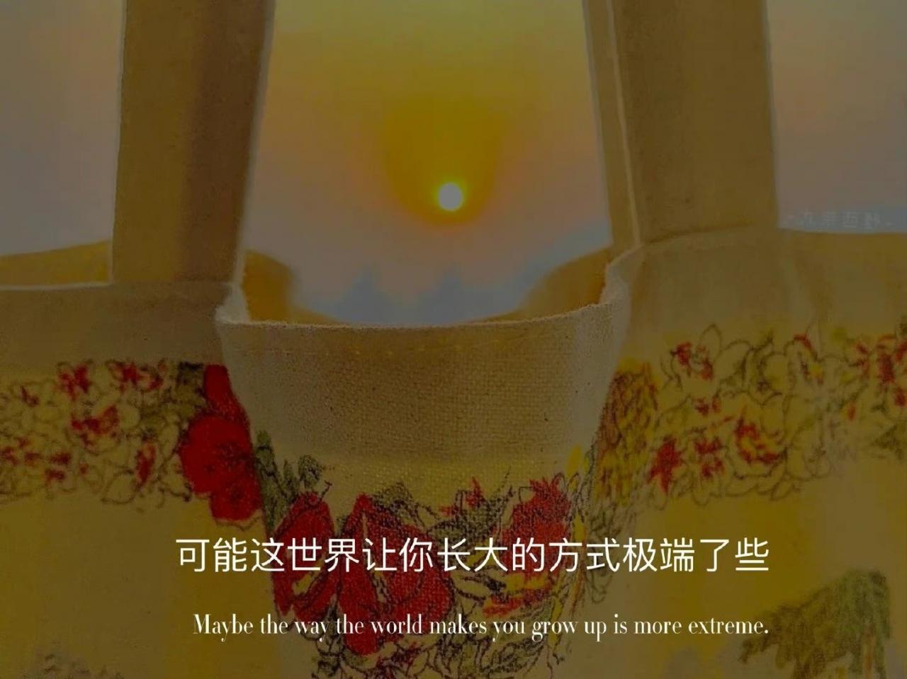 文案“置顶收藏且不烂大街的高级小众文案”