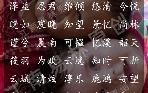 宬适合宝宝取名吗(新生儿取名)