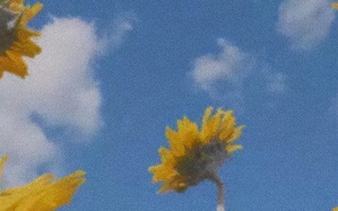 秋风不燥微风正好的文案(阳光正好微风不燥的文案)