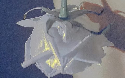 好听的情话文案(很撩人的文案短句)