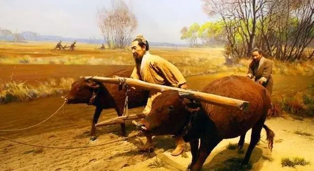 帝国财税：士族必须死，帝国才能生！解决士族问题，华夏终一统