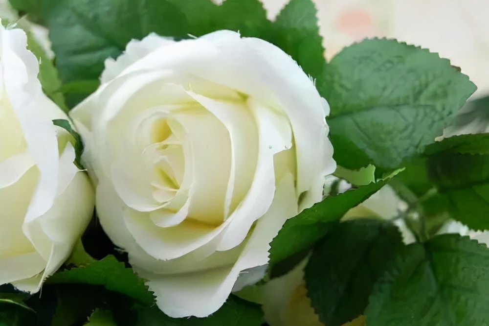 女人过得好不好，其实一看就知道了，有3个细节会暴露出来