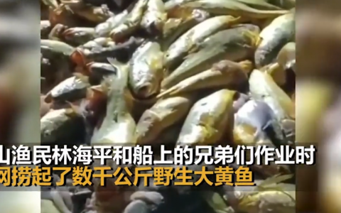 大黄鱼船主:957万货款已到账 该事件最新后续来了!!