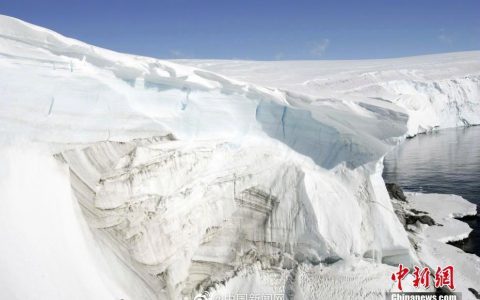 南极阿根廷基地24人感染新冠 究竟是怎么一回事?!