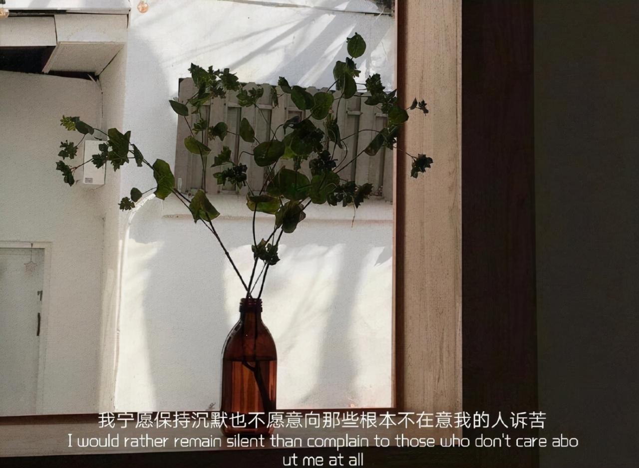 文案“看一眼就想哭的丧句文案”