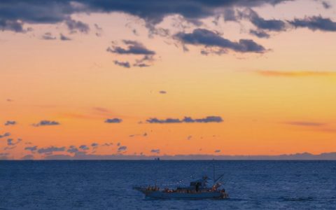 和2021说再见对2022说你好的文案(告别2021迎接2022的朋友圈文案)