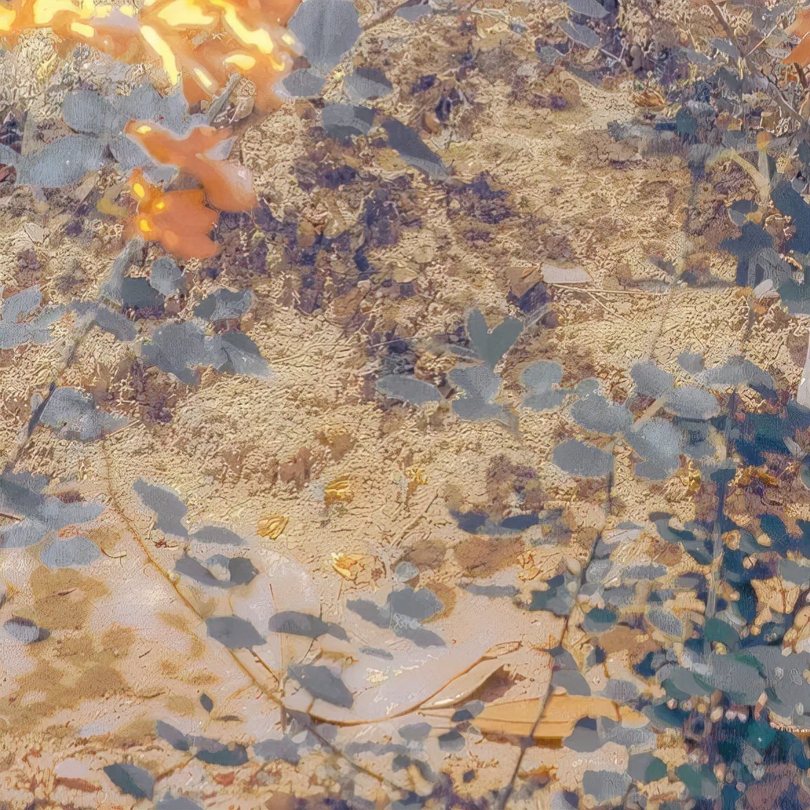 任何时候都可以发的温柔文案