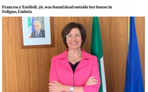 意大利驻澳大利亚大使意外坠亡 发生了什么?始末回顾