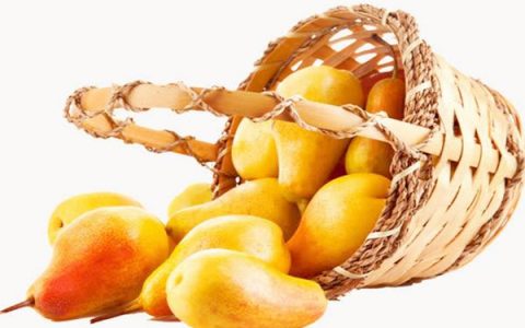 不能与芒果同吃的食物(芒果不能跟什么同食)