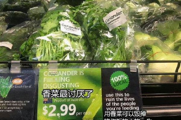 今天是世界讨厌香菜日 香菜闻起来什么味道
