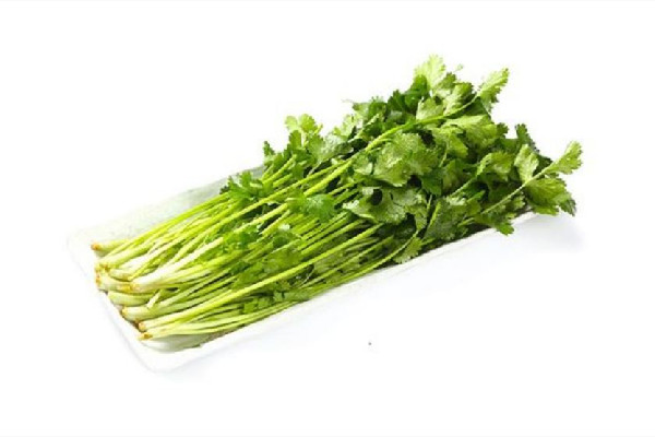 今天是世界讨厌香菜日 香菜闻起来什么味道