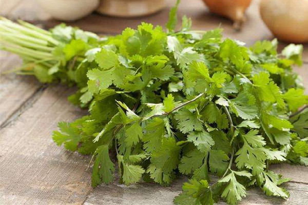 今天是世界讨厌香菜日 香菜闻起来什么味道