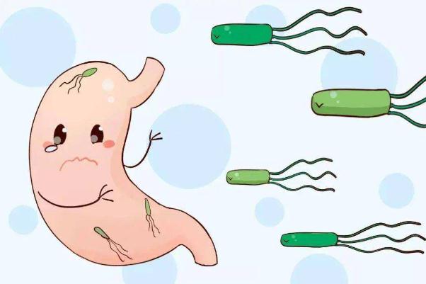 感染幽门螺旋杆菌后有哪些症状 幽门螺旋杆菌是什么