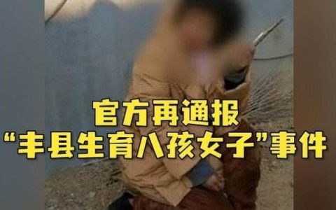 丰县生八儿八女事件生17人费用如何报销？