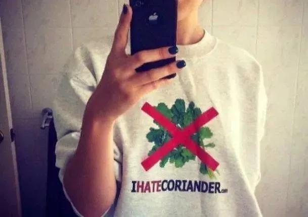 今天，是一群“不爱吃香菜的人”的节日