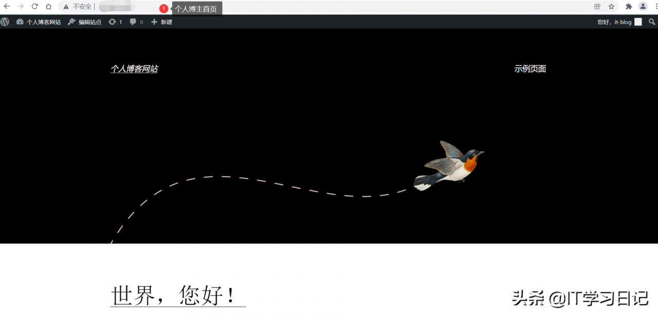 只要10分钟，搭建属于个人的炫酷网站，你还在犹豫什么？