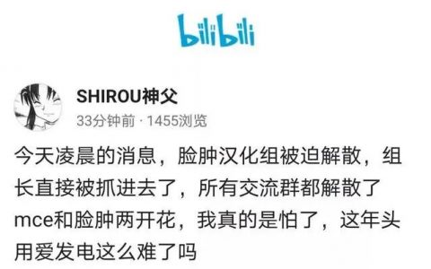 13个讲中文的群体被一扫而空，警方缴获了100TB的成人游戏。