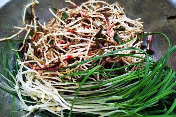 折耳根是发物吗 折耳根是茅草根吗