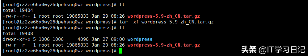 只要10分钟，搭建属于个人的炫酷网站，你还在犹豫什么？
