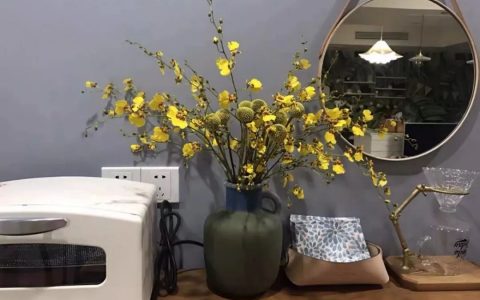 十二种最好看的兰花(最漂亮的兰花有哪几种)