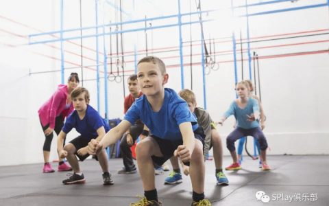 感觉发展：躯体神经系统如何工作