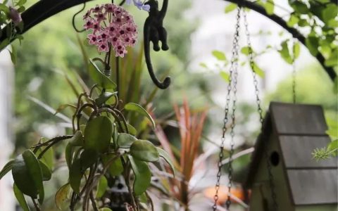 阳台装一个小茶室(阳台做茶室)