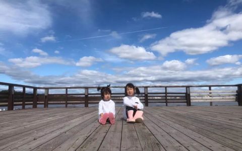 儿童玩具创意文案，幼儿园关于玩具分享文案