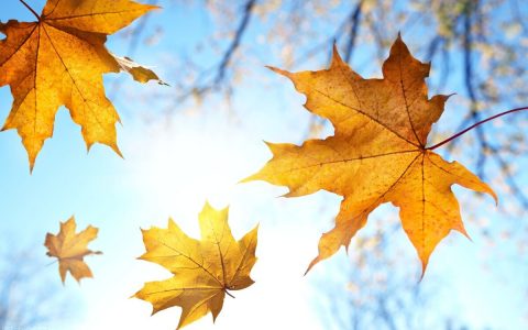 财务方面的知识，财务应具备的知识