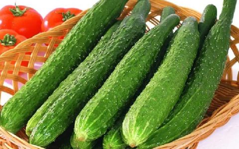 水果黄瓜跟普通黄瓜的热量(黄瓜怎么吃才可以减肥)