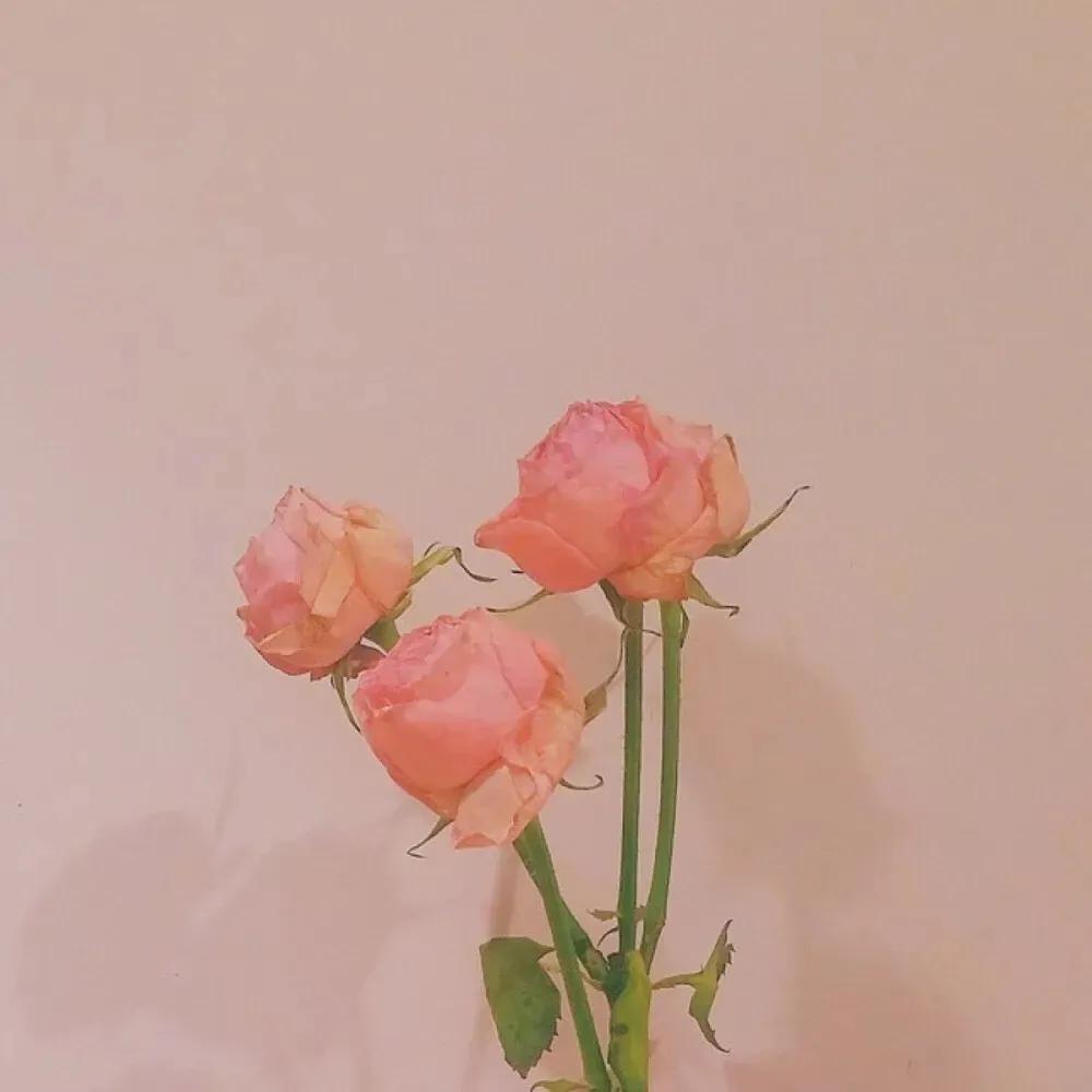 关于读书的绝美文案腹有诗书气自华，读书万卷始通神