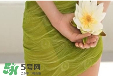 艾叶可以治妇科病吗?艾叶能治妇科病吗 艾叶可以治妇科病吗?艾叶能治妇科病吗