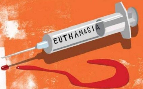 安乐死不能合法化的原因(安乐死不应该被合法化)