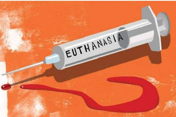 人大代表建议安乐死合法化 安乐死真的是一点痛苦都没有吗