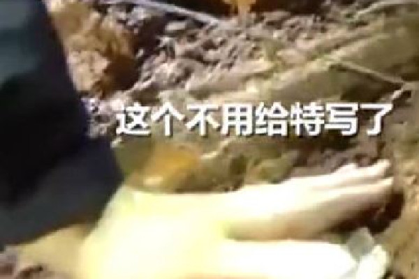 记者捂住乘务人员证件:不要给特写 飞机失事如何自救 记者捂住乘务人员证件:不要给特写 飞机失事如何自救