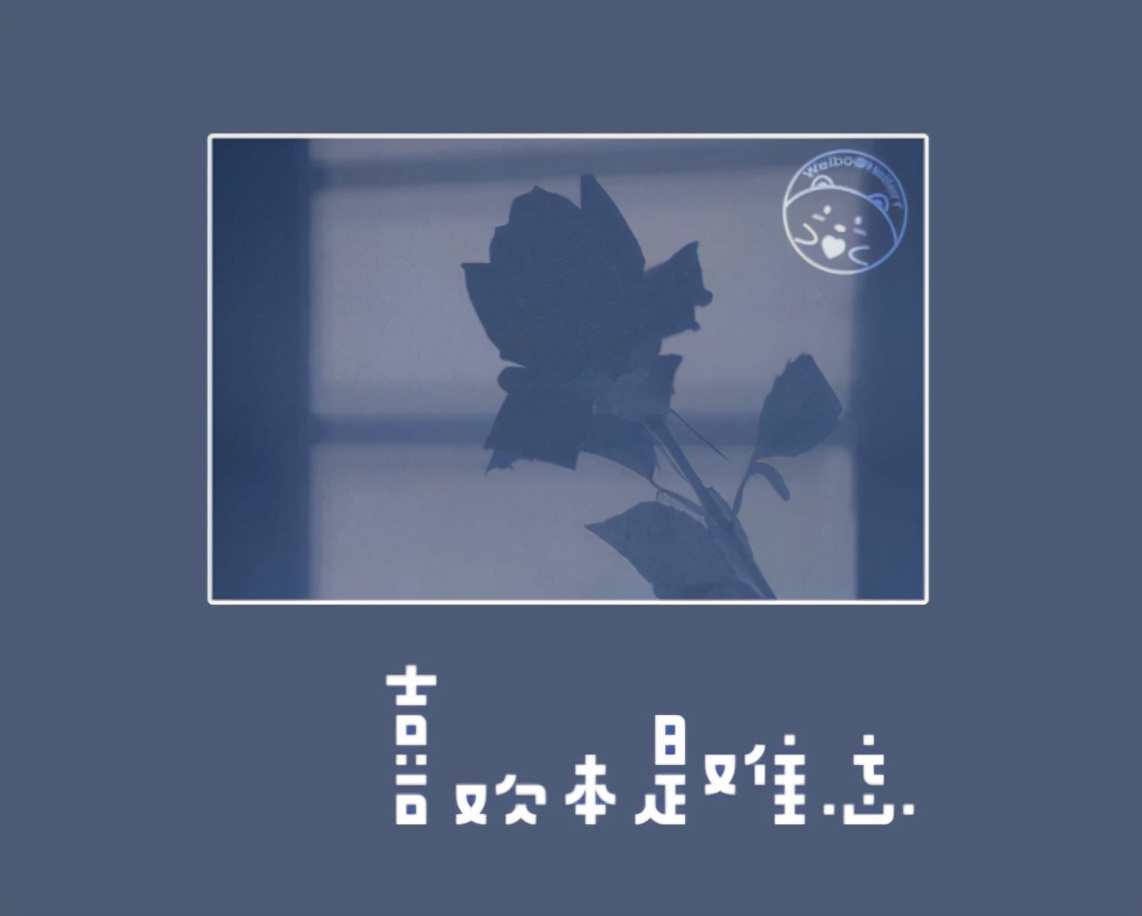 超级治愈的温柔文案