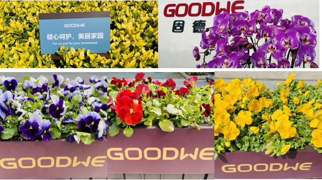 固德威的绿色主张：共建绿色家园，共享绿色未来